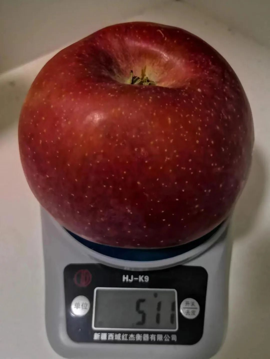 ͼƬ